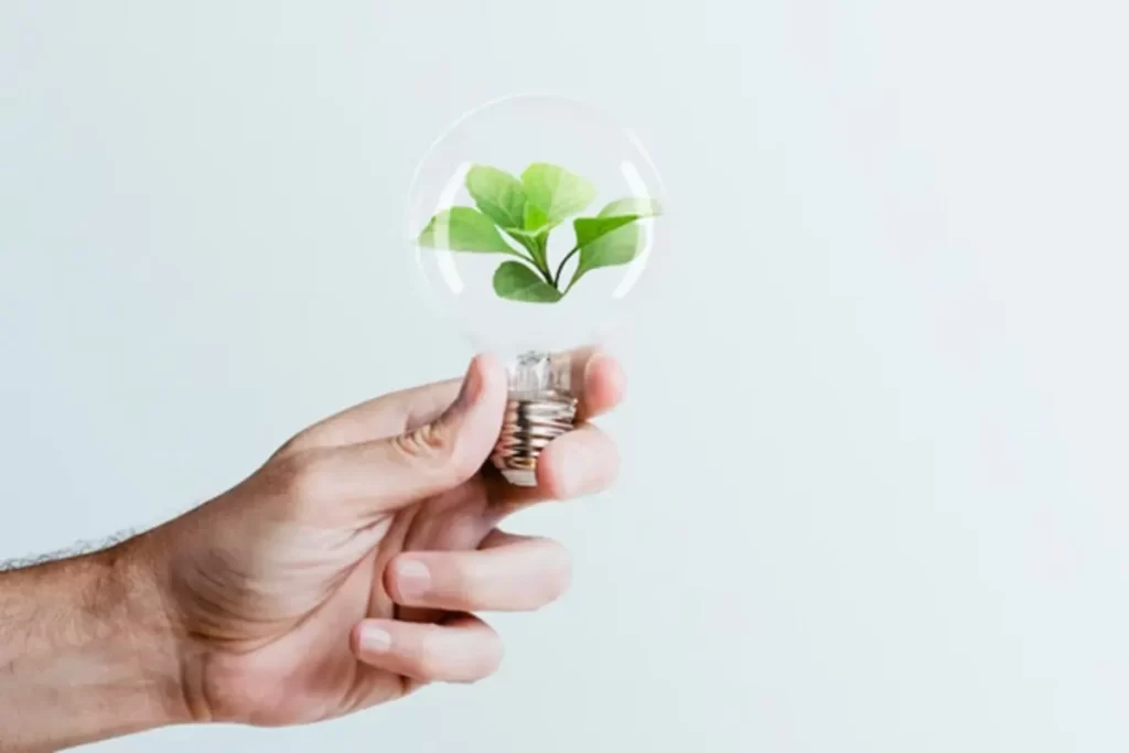 Eficiência Energética na Cogeração: Como a WWM Está Transformando a Indústria